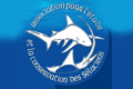 association-pour-l-etude-et-la-conservation-des-selaciens-28191.png