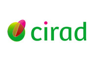 Cirad-52179