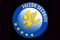 falcon-security-37286.png