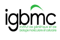 logos/igbmc-cerbm-gie-55416.jpg