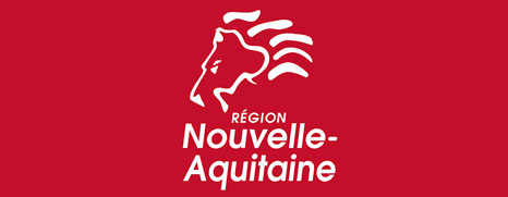 Logo_region